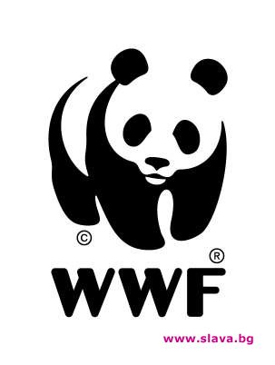 Известни лица се включват отново в Националния ден на природните паркове на WWF