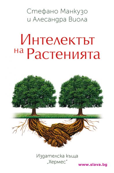 Удивителни разкрития за растенията в нова книга