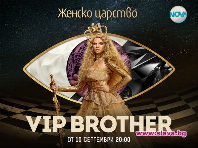 Защо мълчи VIP Brother?