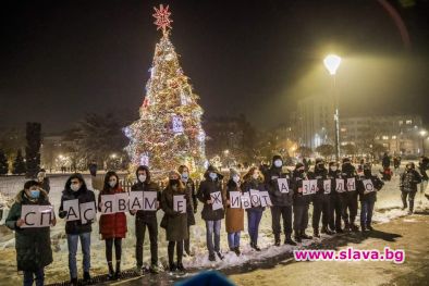 Грейна коледната елха на София