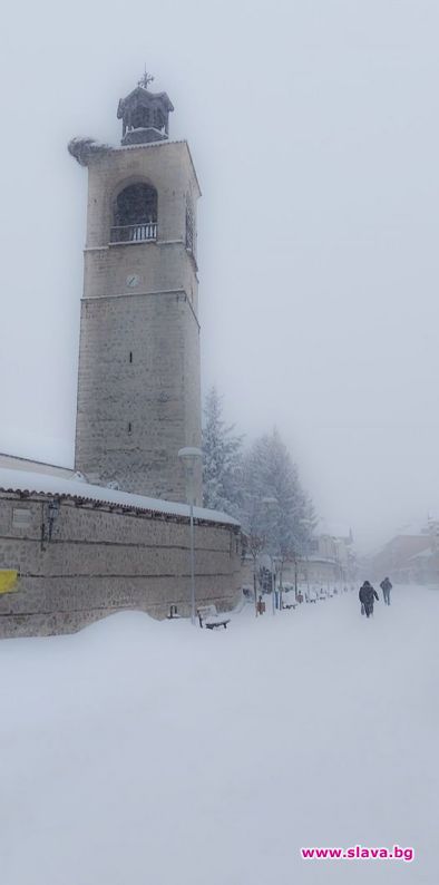 Дърво,по-старо от България, черква на 15 века и домът на Неофит Рилски, който е Никола Пирински