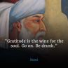 Благодарността е виното за душата. Продължете. Напийте се