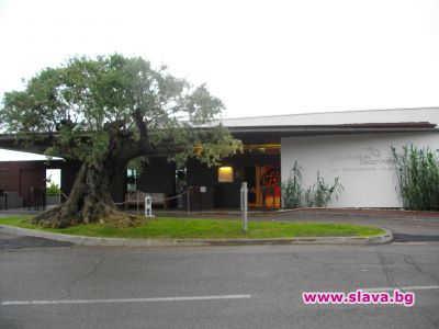 slava.bg : Cap d’Antibes Beach Hotel 4